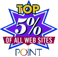 Top 5% of the Web Badge